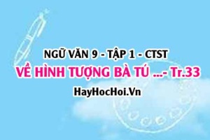 Soạn bài Về hình tượng bà Tú trong bài thơ Thương Vợ trang 33 Ngữ Văn 9 tập 1 Chân trời sáng tạo